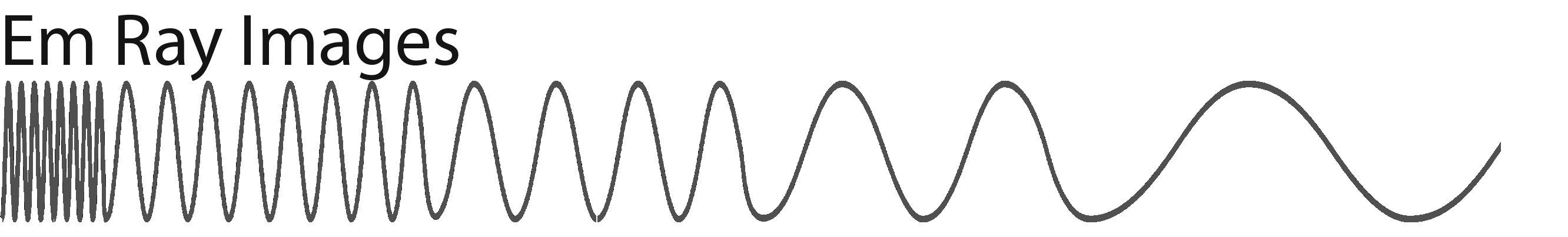 em ray images logo